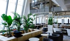 A seating area with greenery at the Victoria House offices in Holborn