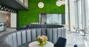 The green wall at the flexible office space near Victoria station