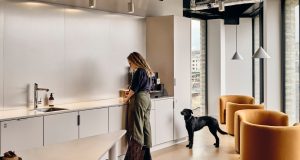 Shot depicting that Borough Yards is a dog-friendly office