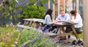 The well-planted outdoor terrace at the eco-friendly office space in London