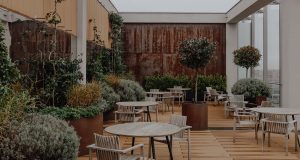 The terrace with abundant plant life at 20 Eastbourne Terrace in Paddington